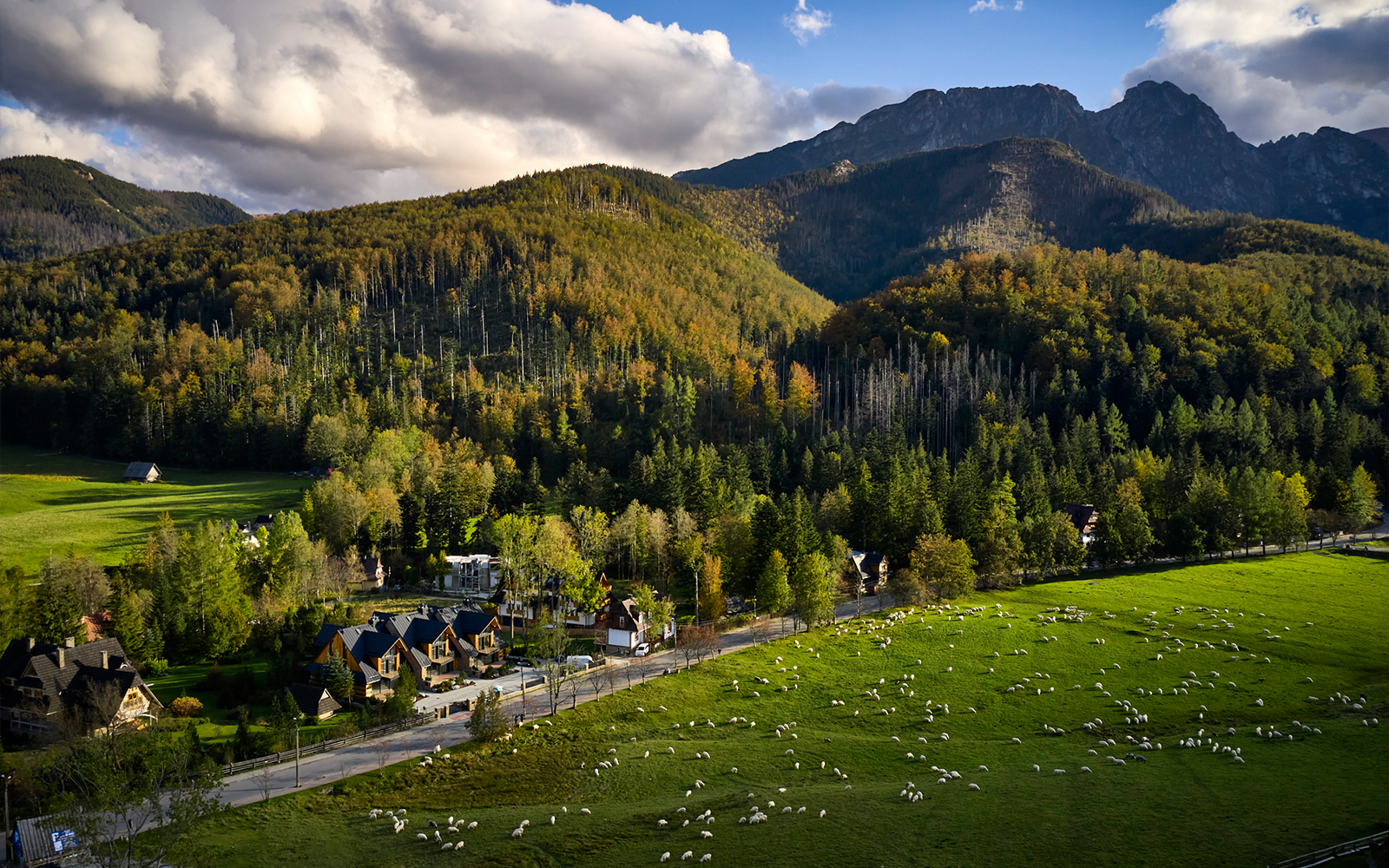 Odcieni architektury jest wiele