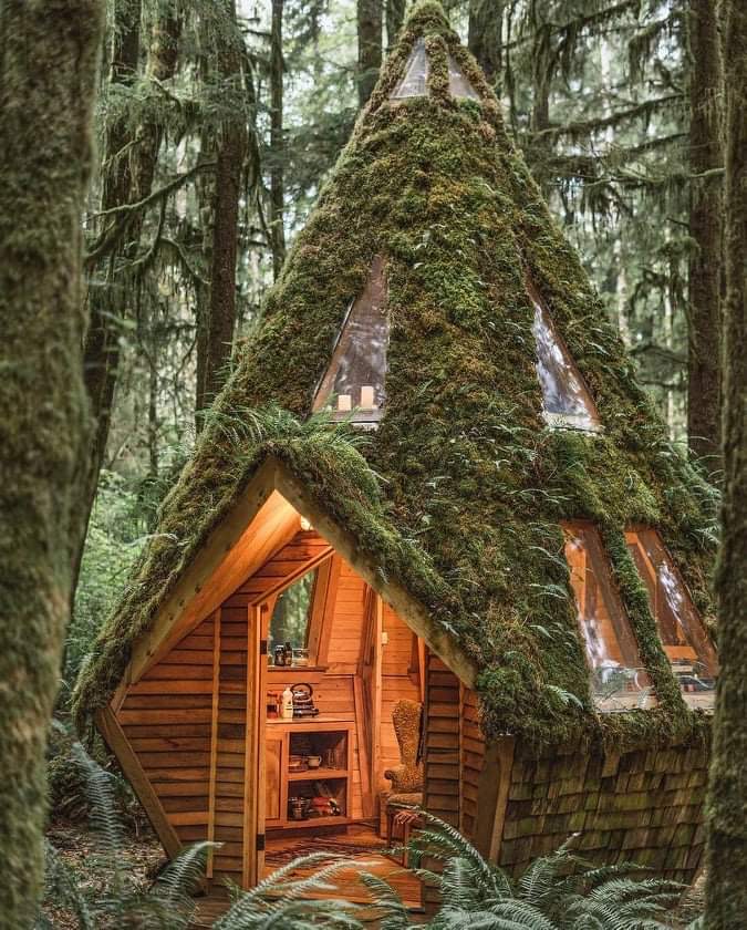 Diamond Cabin