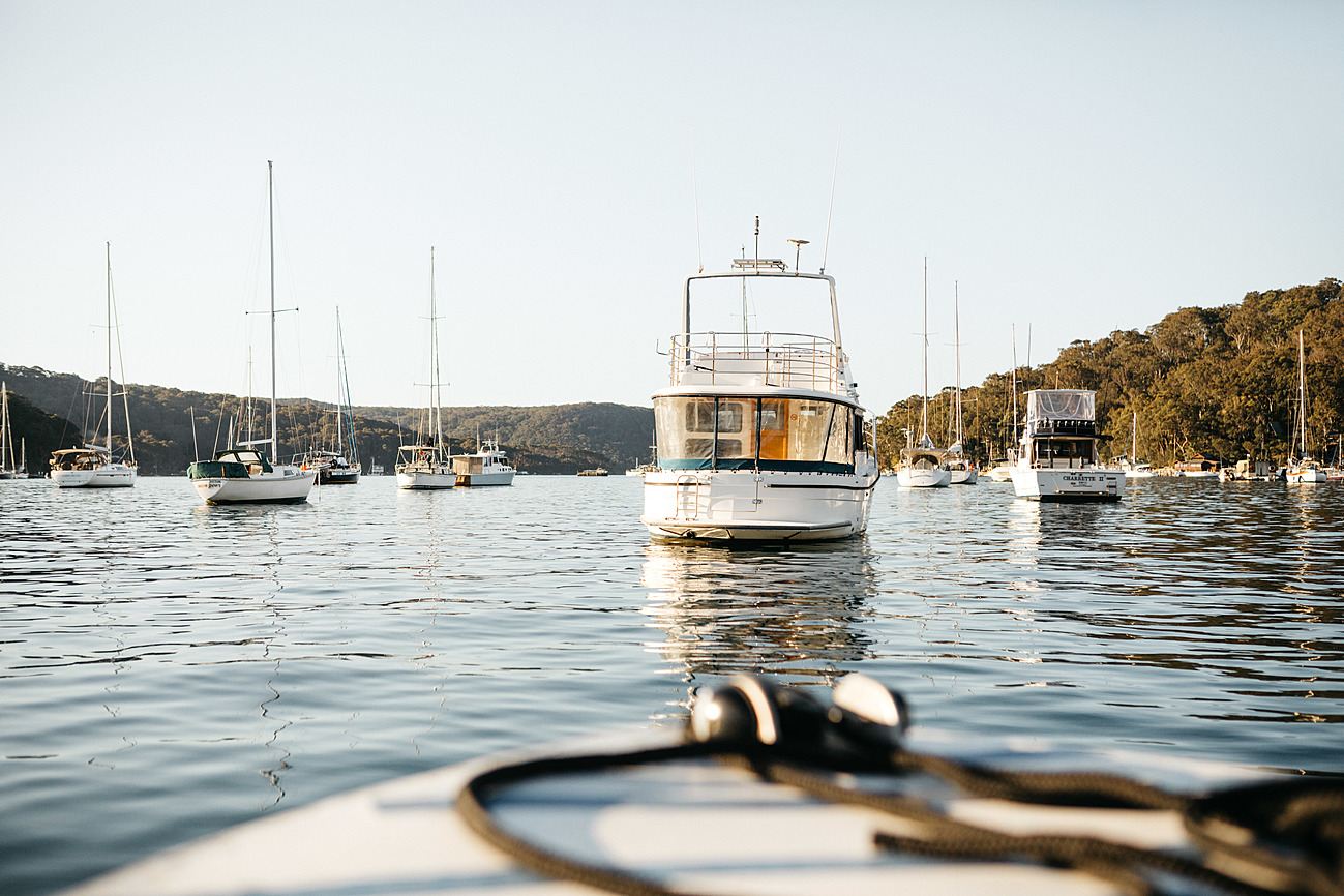 Morning Bay Boatshed – gdzie las spotyka się z morzem