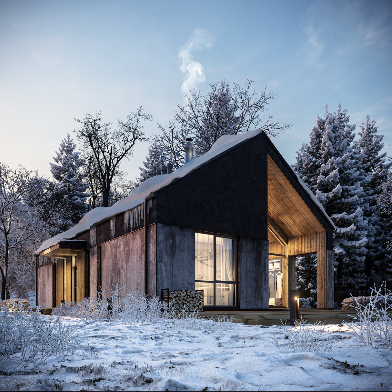 Winter House