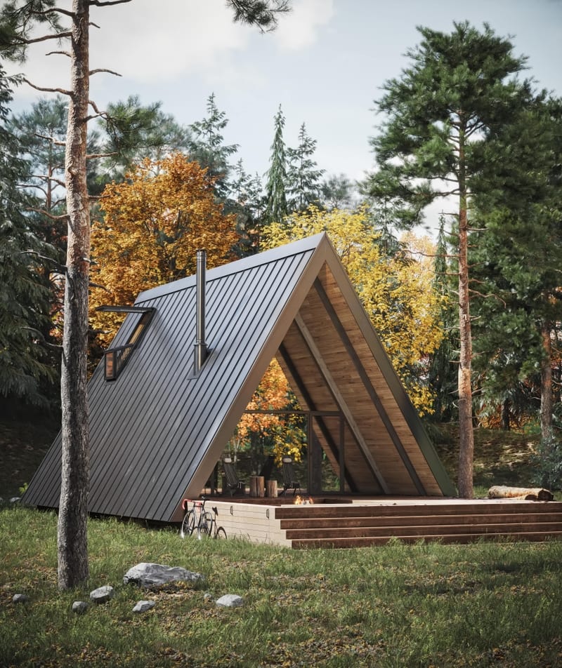 Cabin in Carpathian