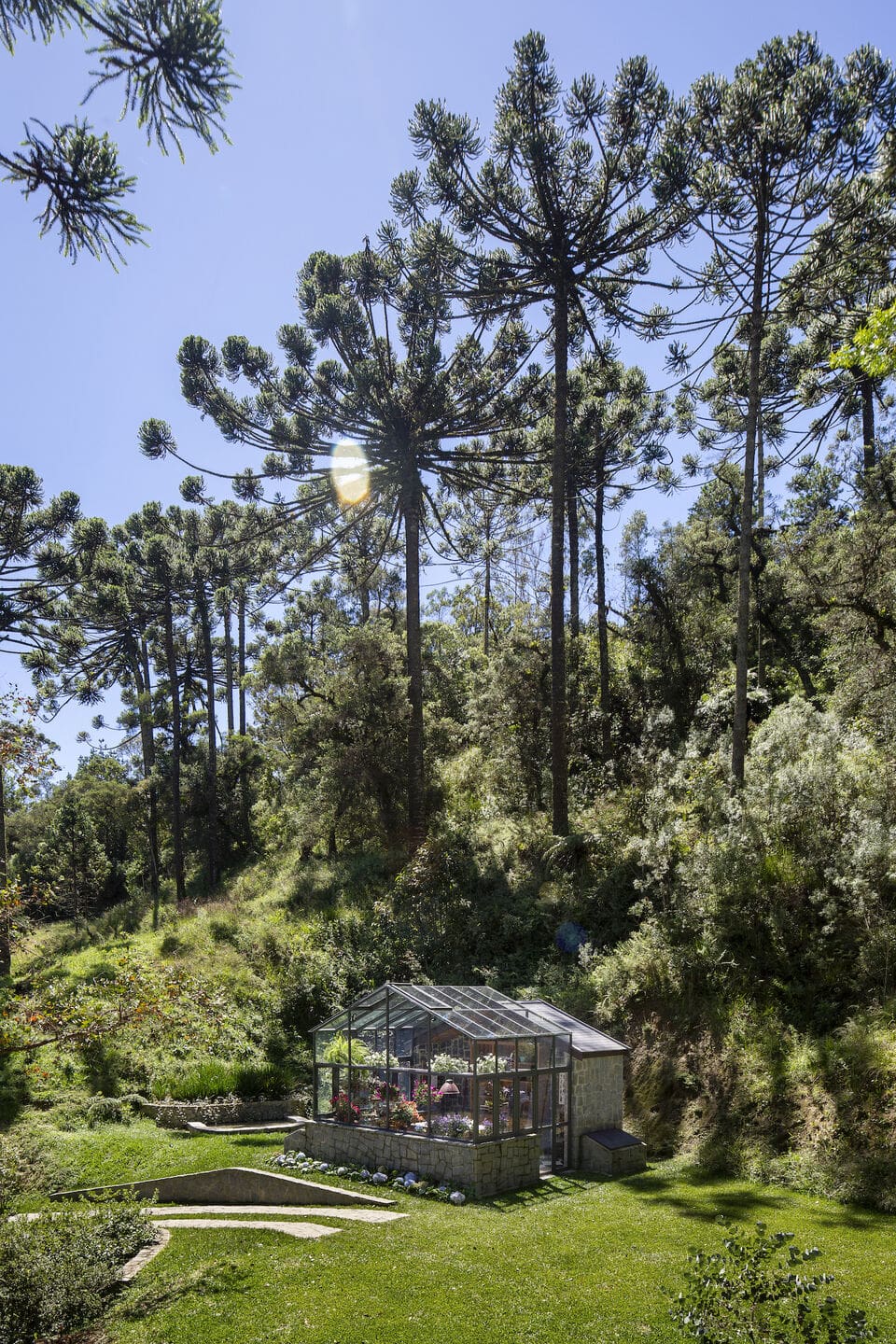 Araucária Greenhouse by Angá Arquitetura