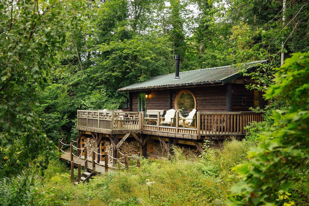 The Forager's Cabin, Canopy & Stars