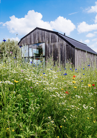 Bloemenrijke landschapstuin Studio Verde tuinarchitectuur